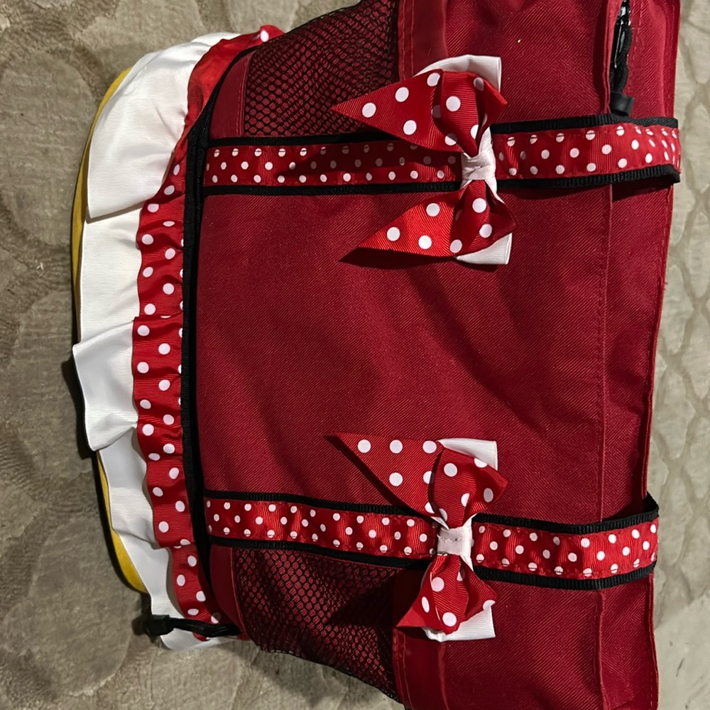 Minnie Mouse bag.